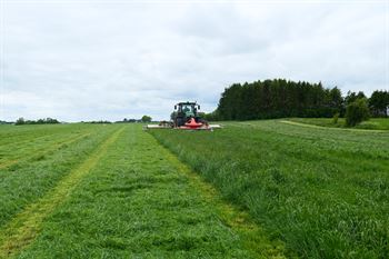 OptiMælk med rødkløver, 10 kg